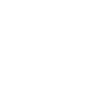 ms2
